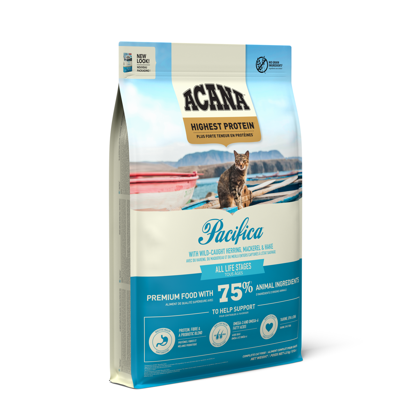 パシフィカキャット