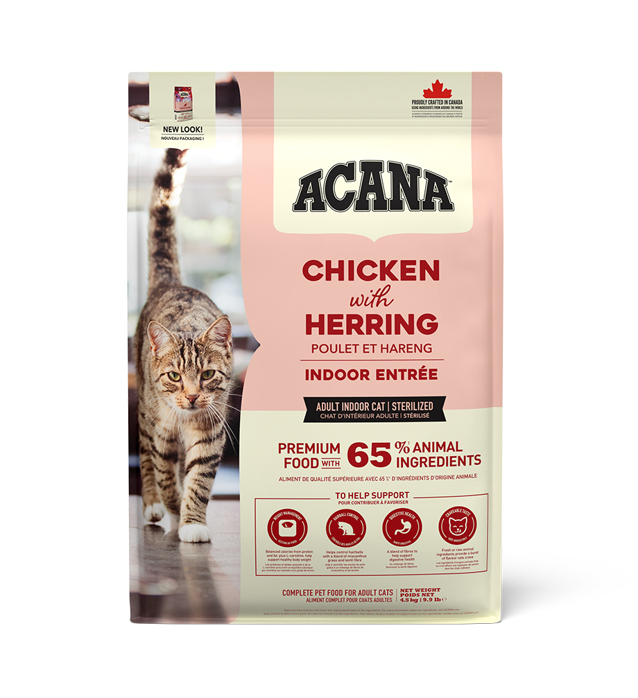 インドアエントリー