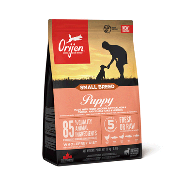 スモールブリードパピー 画像