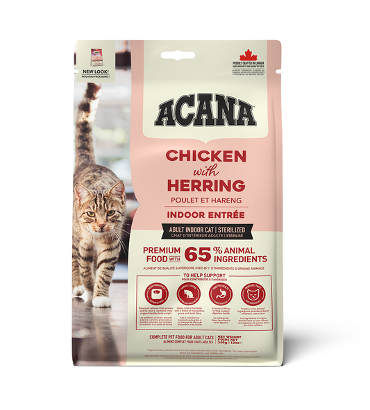 インドアエントリー